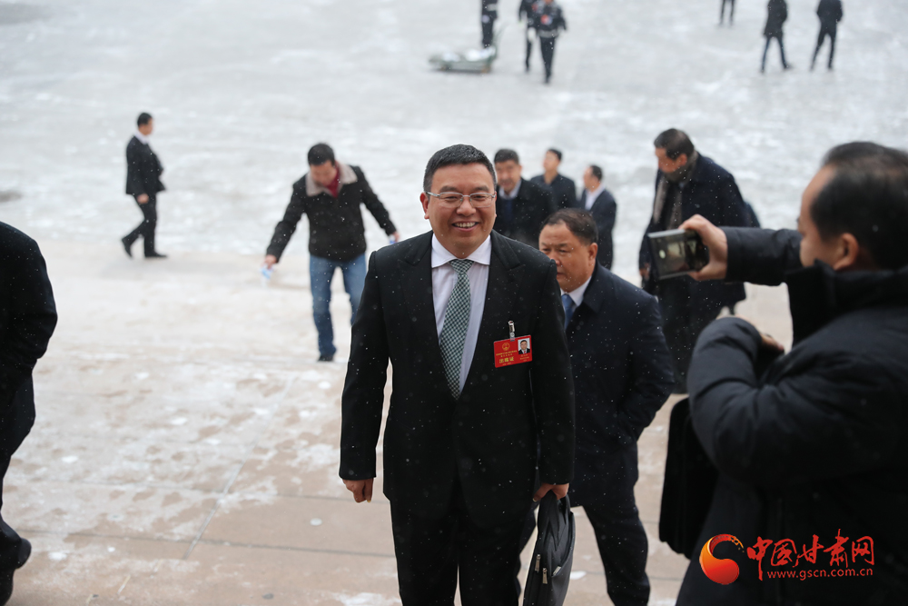 【聚焦2020甘肅兩會】“兩會”代表、委員風(fēng)采掠影（組圖）