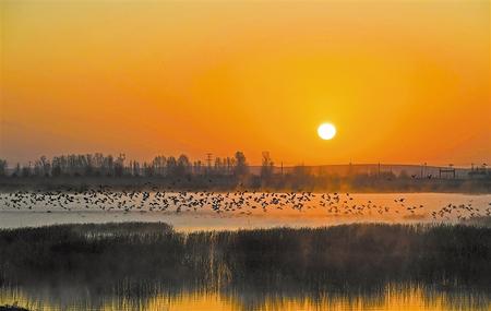 生態(tài)優(yōu)美 百鳥(niǎo)翔集