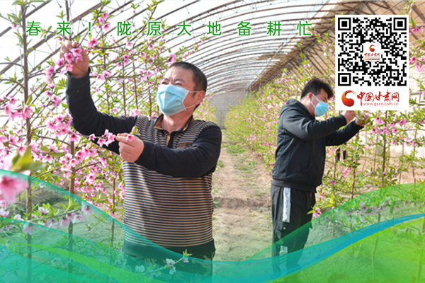 海報(bào)丨春來(lái)！隴原大地春耕忙