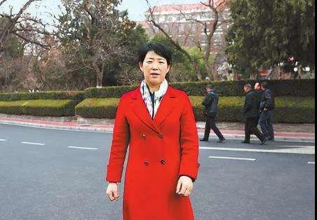 全國(guó)人大代表王秀蘭：家鄉(xiāng)的事就是我最大的事