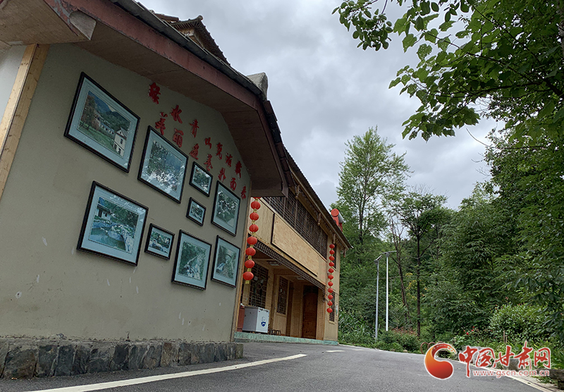 【走向我們的小康生活】村美、業(yè)興、民富……康縣何家莊描繪鄉(xiāng)村振興新畫卷（圖）