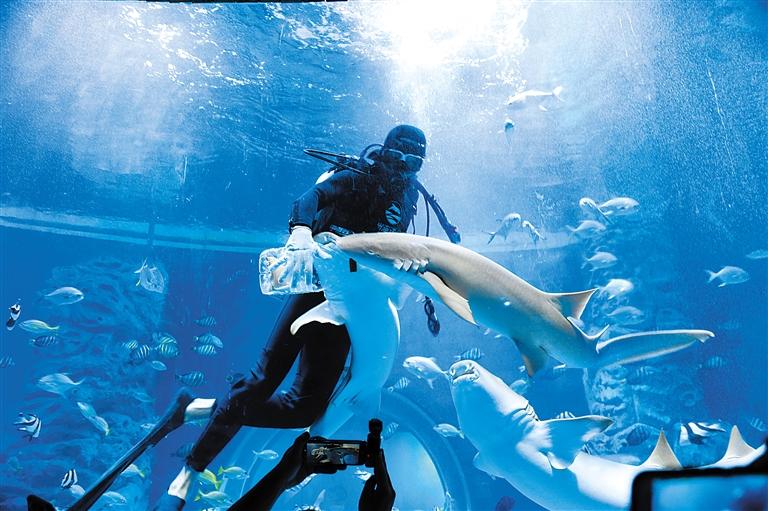 蘭州海洋公園 金昌火星1號基地 這個暑假我們“上天入?！?>
        </a><em>蘭州海洋公園 金昌火星1號基地 這個暑假我們“上天入?！?/em></li>
    <li><a  target=