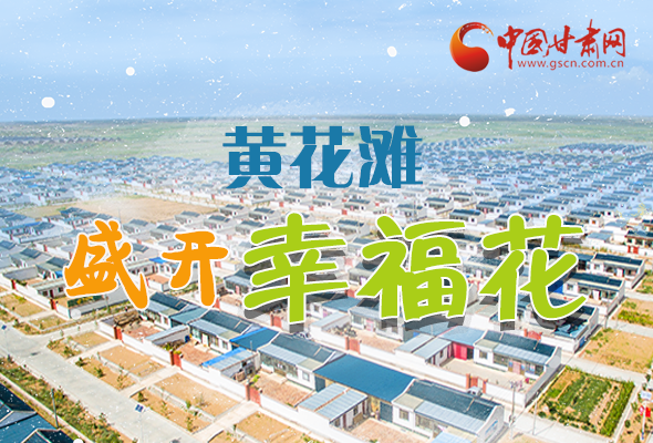 【跟著總書記看甘肅】長圖|武威黃花灘盛開幸?；?