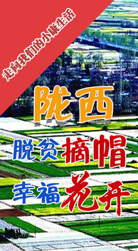 【走向我們的小康生活】長圖|隴西：脫貧摘帽 幸?；ㄩ_