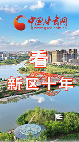 圖解|崛起！新區(qū)十年