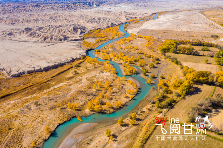 【飛閱甘肅】好美！疏勒河畔大地斑斕