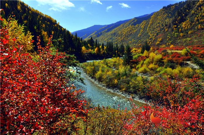 【擔使命 聚同心 促巨變 省直部門落實脫貧攻堅責任工作紀實】綠水青山戰(zhàn)貧困 甘肅省生態(tài)扶貧帶動百姓增收