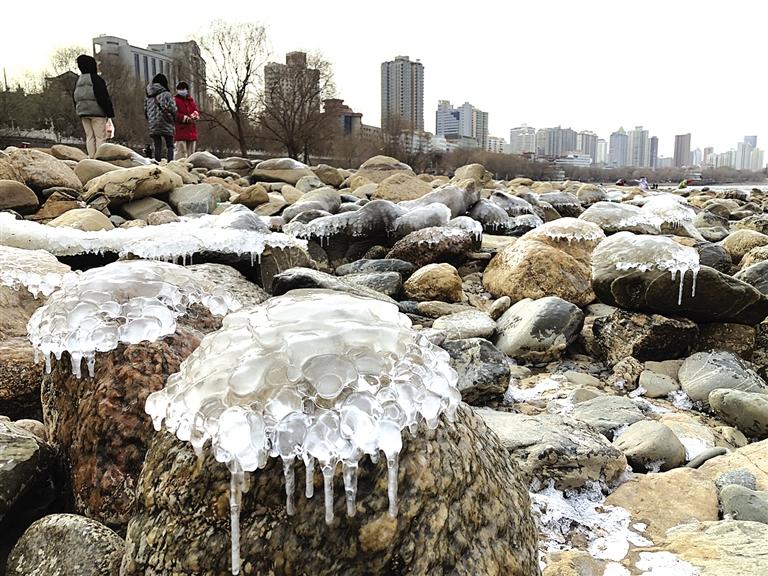 蘭州：水母上河灘？