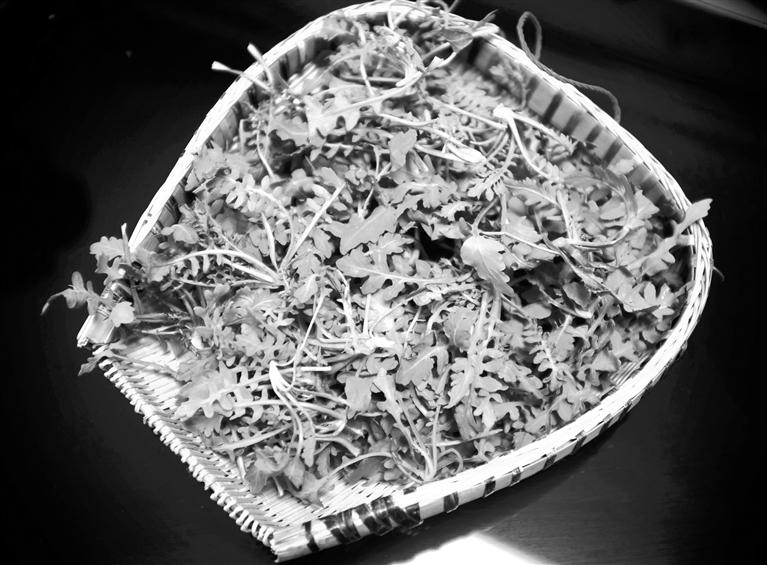 甘肅美食丨摘野菜，咬個“春”，讓味蕾清新起來