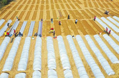 又是一年春耕時(shí)——甘肅省各地全力護(hù)航春耕備耕掃描