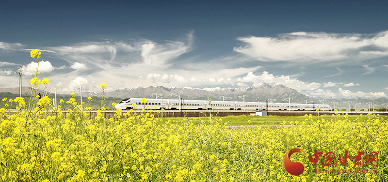 坐上火車“邂逅”春天，你可以這樣享“鐵路游”