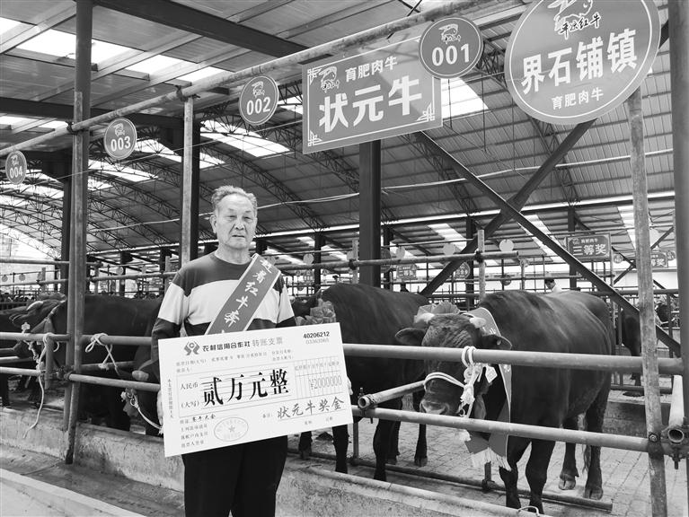 120頭“平?jīng)黾t?！膘o寧爭(zhēng)霸