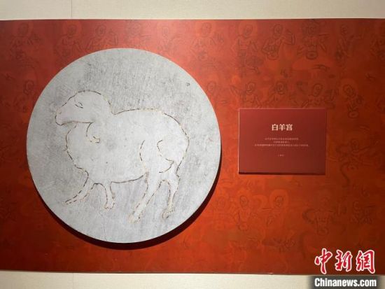 圖為展覽現(xiàn)場(chǎng)?！〗瓧顭?攝