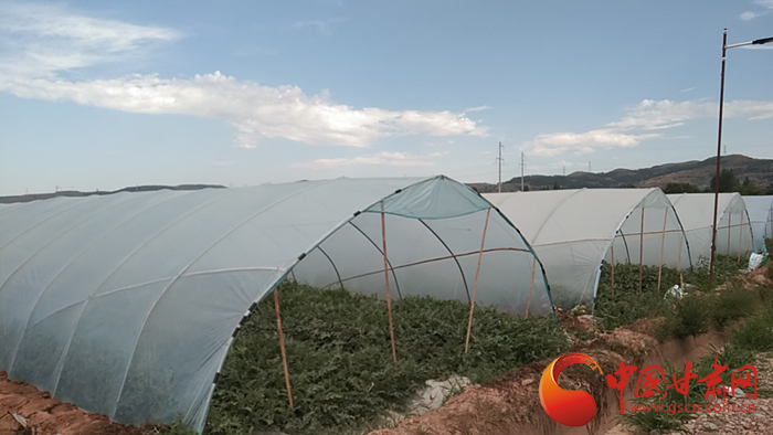【蘭大新聞學子重走西北角】平?jīng)龌ㄋ?zhèn)：“流動的”西瓜大棚圓了“小康夢”