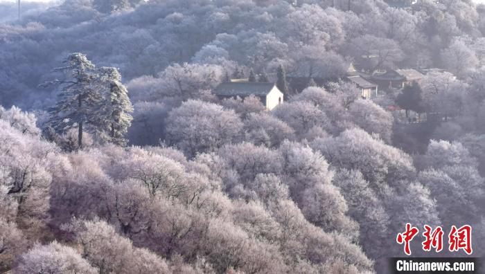 圖為霧凇美景?！⌒煺袢A 攝