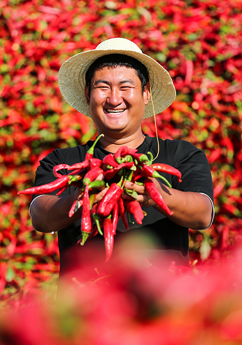 甘肅省“100系列”大型全媒體主題宣傳收官 中國甘肅網(wǎng)相關作品閱讀量近800萬