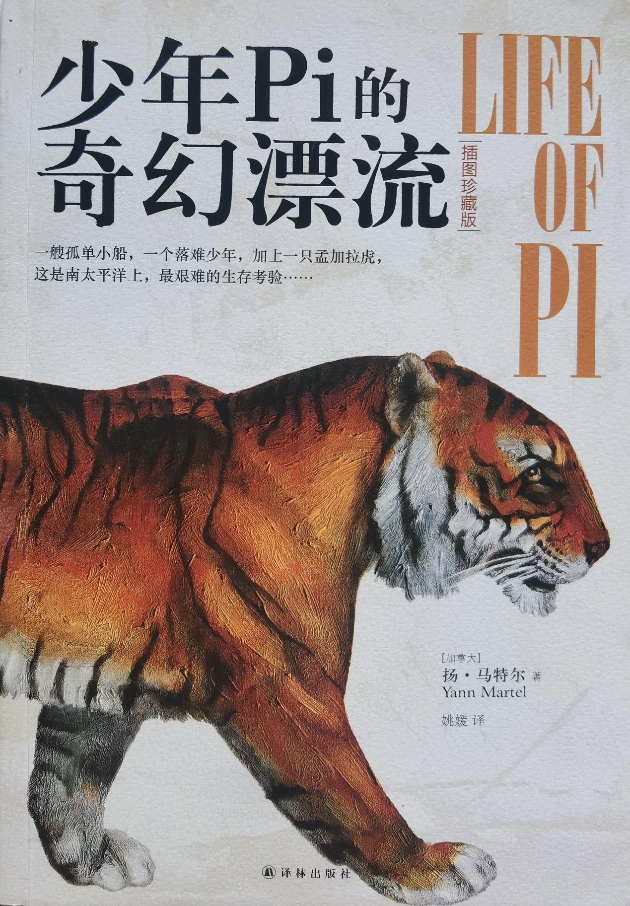 插圖1：揚(yáng)？馬特爾的小說《少年pi的奇幻漂流》封面