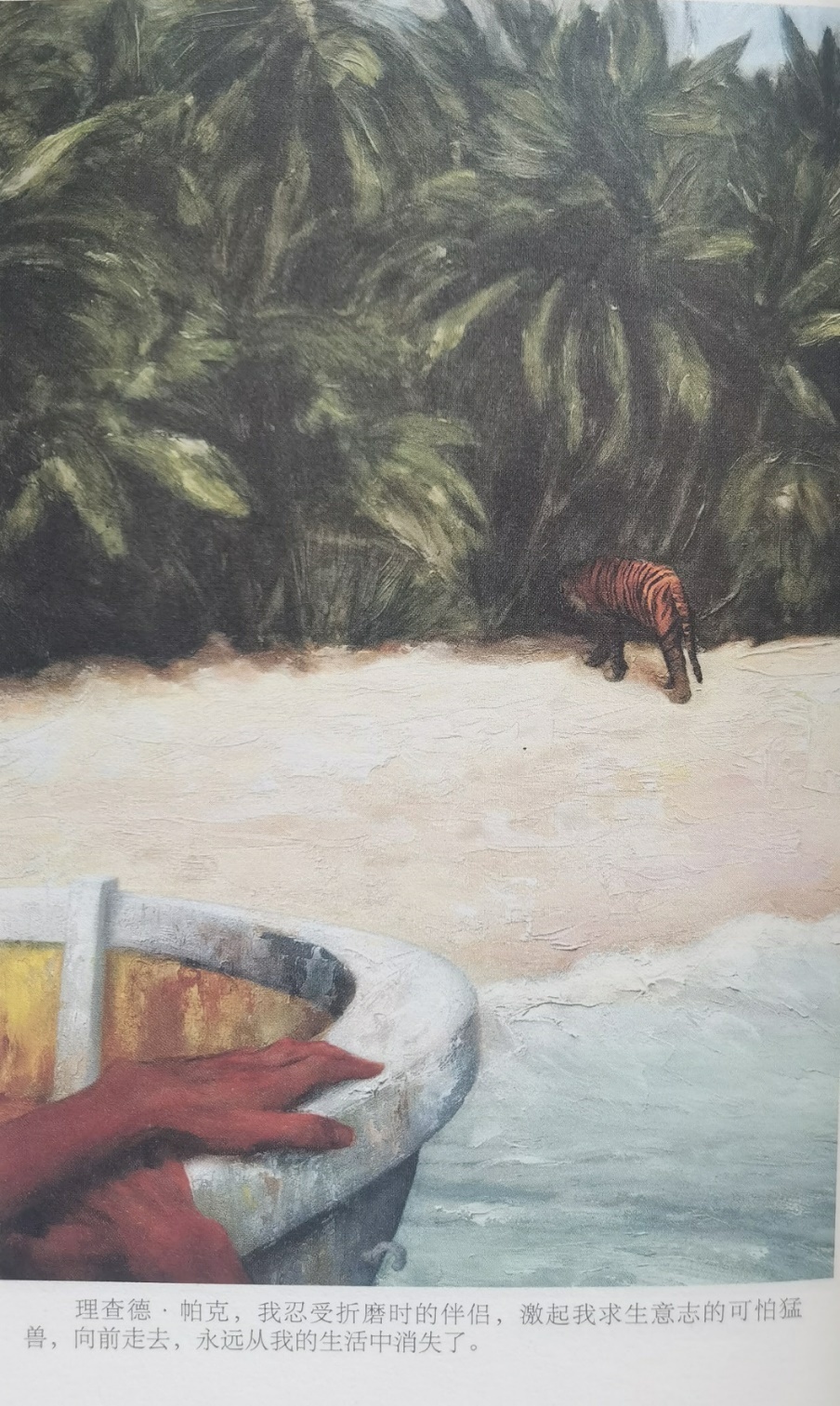 插圖3：揚(yáng)？馬特爾的小說《少年pi的奇幻漂流》插圖
