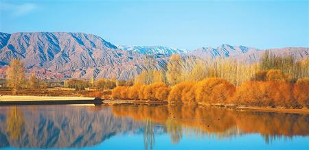 張掖市甘州區(qū)黑河流域草灘莊水域水鳥游弋