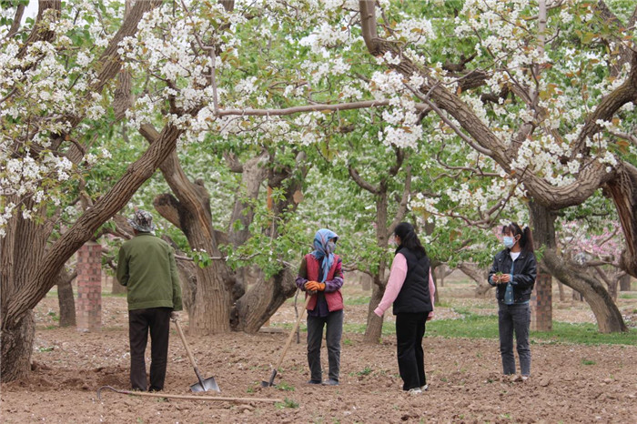 1650274147880147.jpg 01.jpg