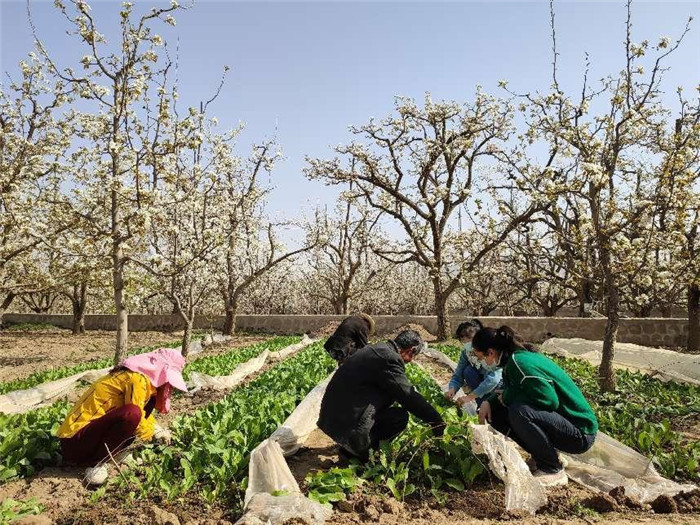 1650274154388689.jpg 02.jpg