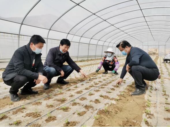 1650274162179412.jpg 1650274162179412.jpg