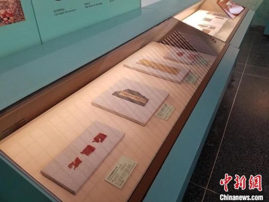 圖為展覽現(xiàn)場?！《鼗脱芯吭汗﹫D