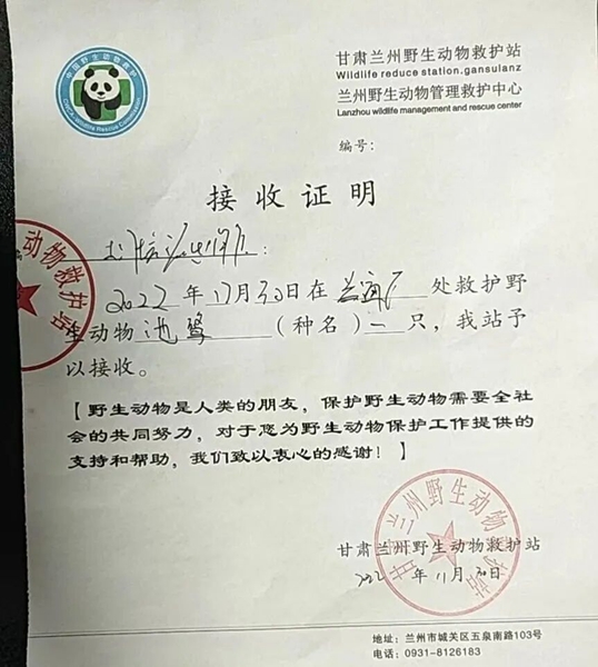 受到救助的池鷺被蘭州野生動物保護站接收。（蘭州市公安局七里河分局供圖）