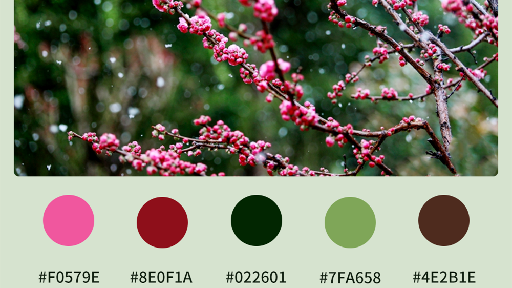 微海報|收藏！色卡里的春日甘肅