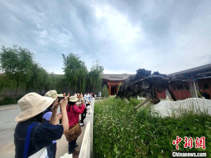 圖為媒體記者在青海永錄民俗參觀采訪。　薛蒂 攝