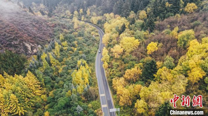 深秋，航拍位于蘭州市榆中縣的興隆山，景色如畫。金峯 攝</p>
<p>