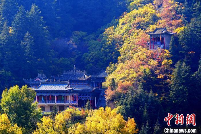 深秋，位于蘭州市榆中縣的興隆山景色如畫。宮衛(wèi)紅 攝