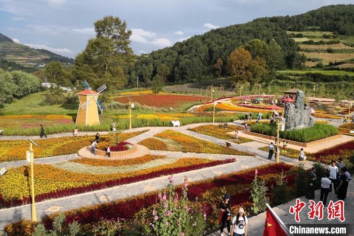 圖為航拍甘肅甘南臨潭縣八角鎮(zhèn)，花海吸引游人。(資料圖)高展 攝