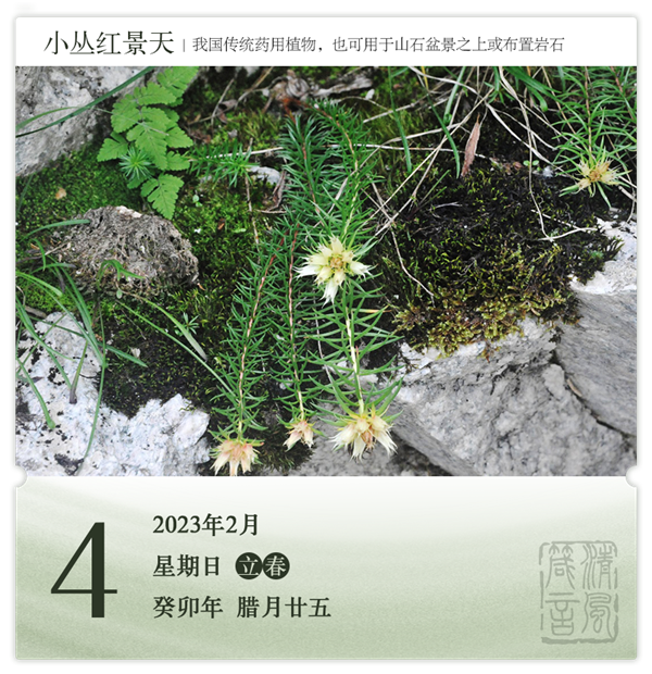 1706686094691916.png 箴歷日歷2-4.png