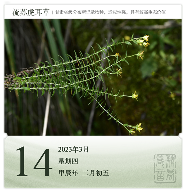 1710236230910470.png 箴歷日歷3-14.png