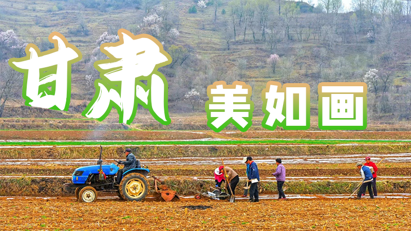 微海報|甘肅，美如畫