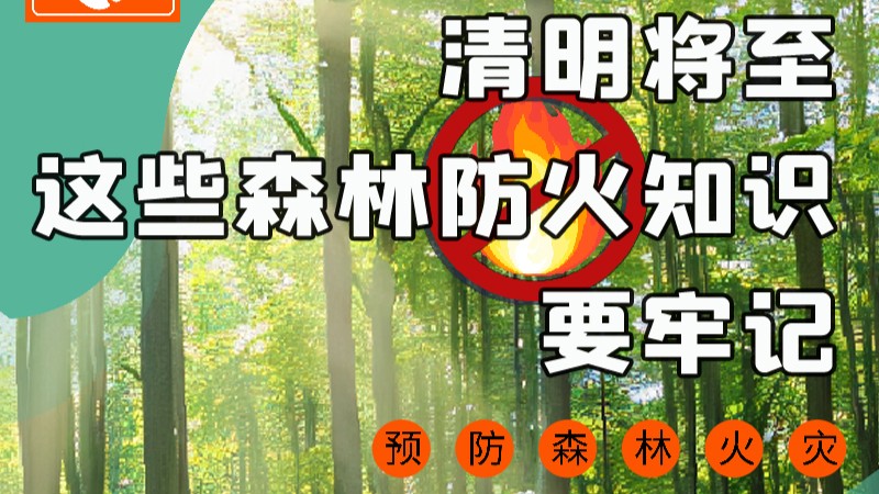 【甘快看】圖解|緊繃“安全弦”！清明，這些森林防火知識(shí)要牢記