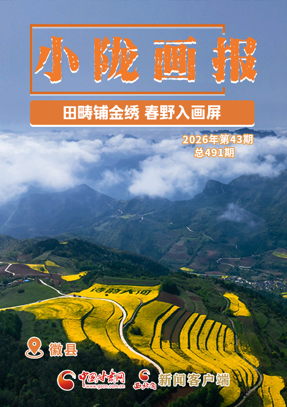 【小隴畫報(bào)·491期】徽縣：田疇鋪金繡 春野入畫屏